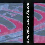 Der musikalische text SOMETHING I CAN NEVER HAVE von NINE INCH NAILS ist auch in dem Album vorhanden Pretty hate machine (1989)