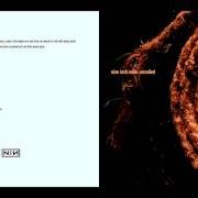 Der musikalische text THE DOWNWARD SPIRAL (A GILDED SICKNESS) von NINE INCH NAILS ist auch in dem Album vorhanden Recoiled (2014)