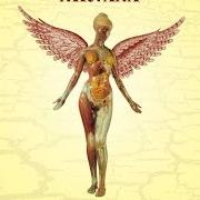 Der musikalische text HEART-SHAPED BOX von NIRVANA ist auch in dem Album vorhanden In utero (1993)