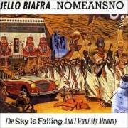 Der musikalische text JESUS WAS A TERRORIST von NOMEANSNO ist auch in dem Album vorhanden The sky is falling, and i want my mommy [w/ jello biafra] (1991)