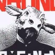 Der musikalische text LIFE IN HELL von NOMEANSNO ist auch in dem Album vorhanden Wrong (1988)