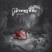 Der musikalische text ENIGMA von AMORPHIS ist auch in dem Album vorhanden Silent waters (2007)