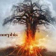 Der musikalische text SKYFORGER von AMORPHIS ist auch in dem Album vorhanden Skyforger (2009)