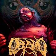 Der musikalische text SADISTIC EXPERIMENTS von OCEANO ist auch in dem Album vorhanden Contagion (2010)