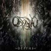 Der musikalische text EMPATHY FOR LEVIATHAN von OCEANO ist auch in dem Album vorhanden Depths (2009)