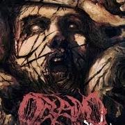 Der musikalische text SLAVE OF CORPOROTOCRACY von OCEANO ist auch in dem Album vorhanden Incisions (2013)