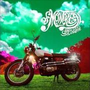 Der musikalische text SIRENS OF YOUR TOXIC SPIRIT von OF MONTREAL ist auch in dem Album vorhanden Lousy with sylvianbriar (2013)