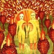 Der musikalische text REQUIEM FOR O.M.M.2 von OF MONTREAL ist auch in dem Album vorhanden The sunlandic twins (2005)
