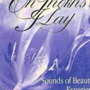 Der musikalische text A DREAMER CAN TOUCH THE SKY von ON THORNS I LAY ist auch in dem Album vorhanden Sounds of beautiful experience (1995)