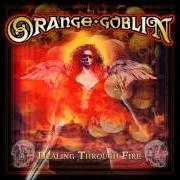 Der musikalische text HOT KNIVES & OPEN SORES von ORANGE GOBLIN ist auch in dem Album vorhanden Healing through fire (2007)
