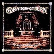 Der musikalische text YOU'RE NOT THE ONE (WHO CAN SAVE ROCK N ROLL) von ORANGE GOBLIN ist auch in dem Album vorhanden Thieving from the house of god (2004)