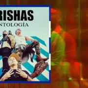 Der musikalische text 5.3.7 CUBA von ORISHAS ist auch in dem Album vorhanden Antidiotico