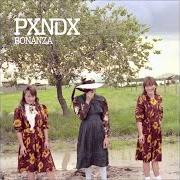 Der musikalische text HUÉSPED EN CASA PROPIA von PANDA ist auch in dem Album vorhanden Bonanza (2012)