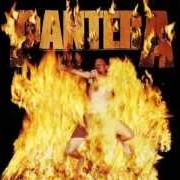 Der musikalische text IT MAKES THEM DISAPPEAR von PANTERA ist auch in dem Album vorhanden Reinventing the steel (2000)