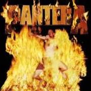 Der musikalische text WE'LL GRIND THAT AXE FOR A LONG TIME von PANTERA ist auch in dem Album vorhanden Reinventing the steel (2000)