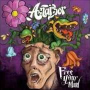 Der musikalische text WHERE THE WILD THINGS ARE (MONSTERS) von ANARBOR ist auch in dem Album vorhanden Free your mind (2009)