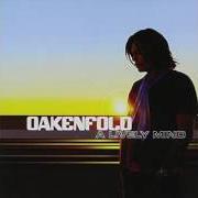 Der musikalische text SWITCH ON von PAUL OAKENFOLD ist auch in dem Album vorhanden A lively mind (2006)