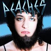 Der musikalische text ROCK N' ROLL von PEACHES ist auch in dem Album vorhanden Fatherfucker (2003)