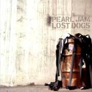 Der musikalische text FOOTSTEPS von PEARL JAM ist auch in dem Album vorhanden Lost dogs (2003)