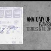 Der musikalische text SINCE YESTERDAY von ANATOMY OF A GHOST ist auch in dem Album vorhanden Evanesce (2003)