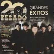 Der musikalische text Y von PESADO ist auch in dem Album vorhanden Exitos (2007)