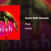 Der musikalische text SCENT OF A MULE von PHISH ist auch in dem Album vorhanden Hoist (1994)