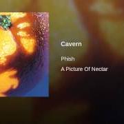Der musikalische text TWEEZER von PHISH ist auch in dem Album vorhanden Picture of nectar (1992)