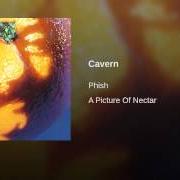 Der musikalische text LLAMA von PHISH ist auch in dem Album vorhanden Picture of nectar (1992)