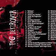 Der musikalische text MY FELLOW VERMIN von PIG DESTROYER ist auch in dem Album vorhanden 38 counts of battery (2000)