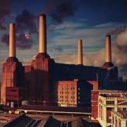 Der musikalische text PIGS ON THE WING (PART 2) von PINK FLOYD ist auch in dem Album vorhanden Animals (1977)