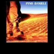 Der musikalische text FUMO NERO von PINO DANIELE ist auch in dem Album vorhanden Non calpestare i fiori nel deserto (1995)