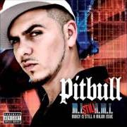 Der musikalische text CULO von PITBULL ist auch in dem Album vorhanden Money is still a major issue (2005)