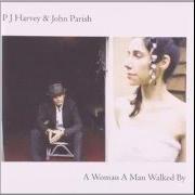 Der musikalische text SIXTEEN, FIFTEEN, FOURTEEN von PJ HARVEY ist auch in dem Album vorhanden A woman a man walked by (2009)