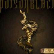 Of rust and bones Of rust and bones