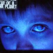 Der musikalische text MY ASHES von PORCUPINE TREE ist auch in dem Album vorhanden Fear of a blank planet (2007)