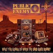 Der musikalische text IF YOU CAN'T JOIN EM BEAT EM von PUBLIC ENEMY ist auch in dem Album vorhanden What you gonna do when the grid goes down? (2020)