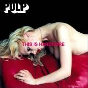 Der musikalische text THE DAY AFTER THE REVOLUTION von PULP ist auch in dem Album vorhanden This is hardcore (1998)