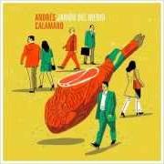 Der musikalische text LOS AVIONES von ANDRÉS CALAMARO ist auch in dem Album vorhanden Jamón del medio (2014)