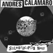 Der musikalische text RUMBO ERRADO von ANDRÉS CALAMARO ist auch in dem Album vorhanden Salmonalipsis now (2011)