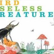 Der musikalische text SOUVERIAN von ANDREW BIRD ist auch in dem Album vorhanden Noble beast / useless creatures (2009)