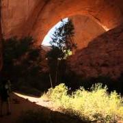 Der musikalische text ANTROZOUS von ANDREW BIRD ist auch in dem Album vorhanden Echolocations: canyon (2015)