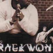 Der musikalische text ALL I GOT IS YOU PT. II von RAEKWON ist auch in dem Album vorhanden Immobilarity (1999)