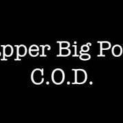Der musikalische text C.O.D. von RAPPER BIG POOH ist auch in dem Album vorhanden The delightful bars: north american pie version (2009)