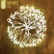 Der musikalische text ALIVE von ANDY HUNTER ist auch in dem Album vorhanden Life (2005)