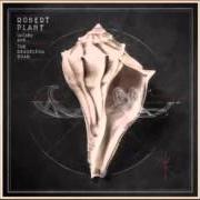 Der musikalische text ARBADEN (MAGGIE'S BABBY) von ROBERT PLANT ist auch in dem Album vorhanden Lullaby and...The ceaseless roar (2014)