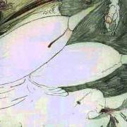 Der musikalische text VOICE von RUDIMENTARY PENI ist auch in dem Album vorhanden Echoes of anguish (1998)