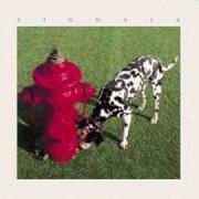 Der musikalische text LOSING IT von RUSH ist auch in dem Album vorhanden Signals (1982)