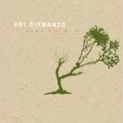 Der musikalische text IN THE MARGINS von ANI DIFRANCO ist auch in dem Album vorhanden Reprieve (2006)