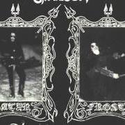 Der musikalische text TAAKESLOTTET (THE FOGCASTLE) von SATYRICON ist auch in dem Album vorhanden Dark medieval times (1993)