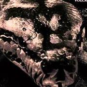 Der musikalische text EXISTENTIAL FEAR-QUESTIONS von SATYRICON ist auch in dem Album vorhanden Volcano (2002)